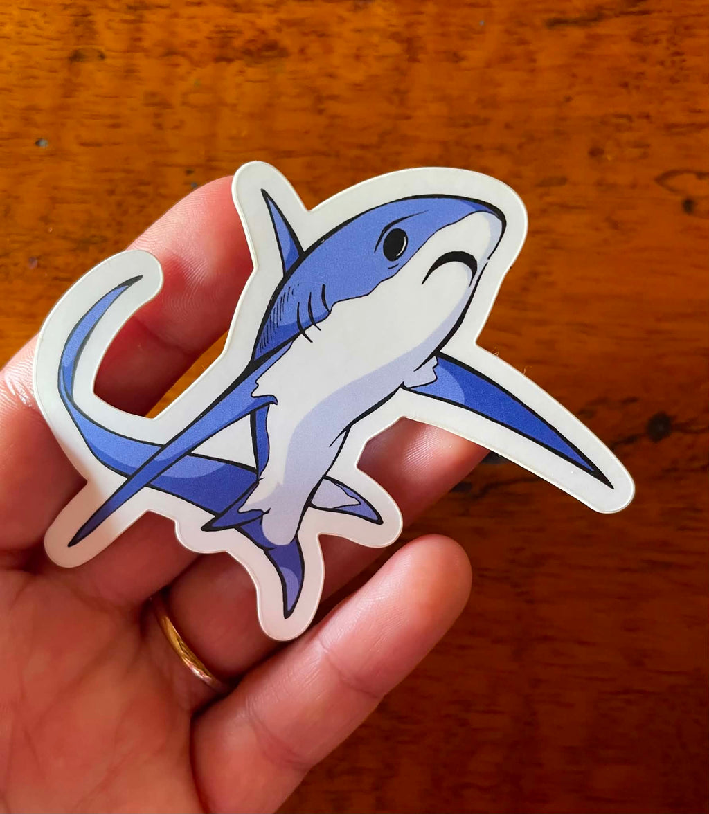 Thresher Shark Sticker