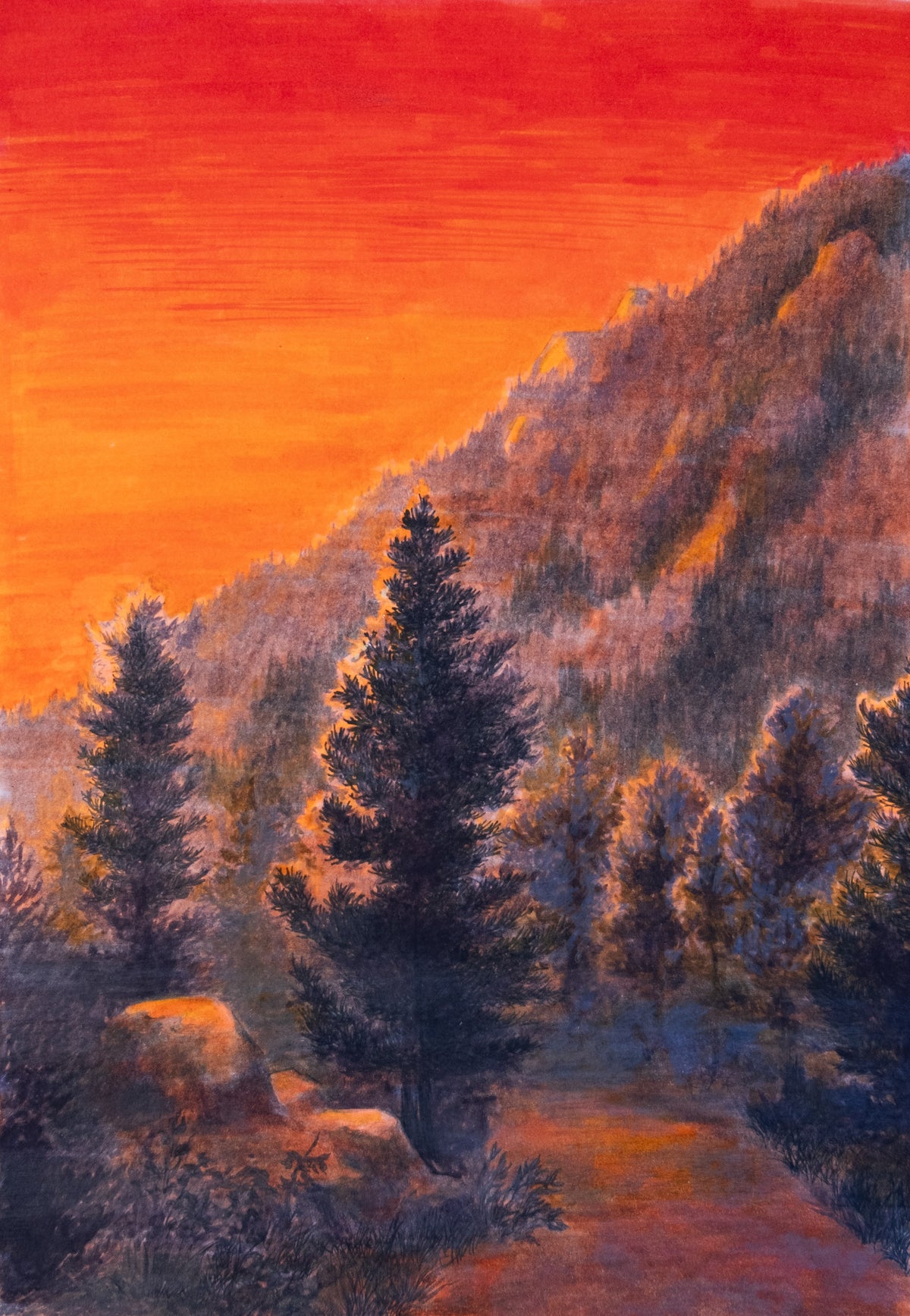 Wildfires