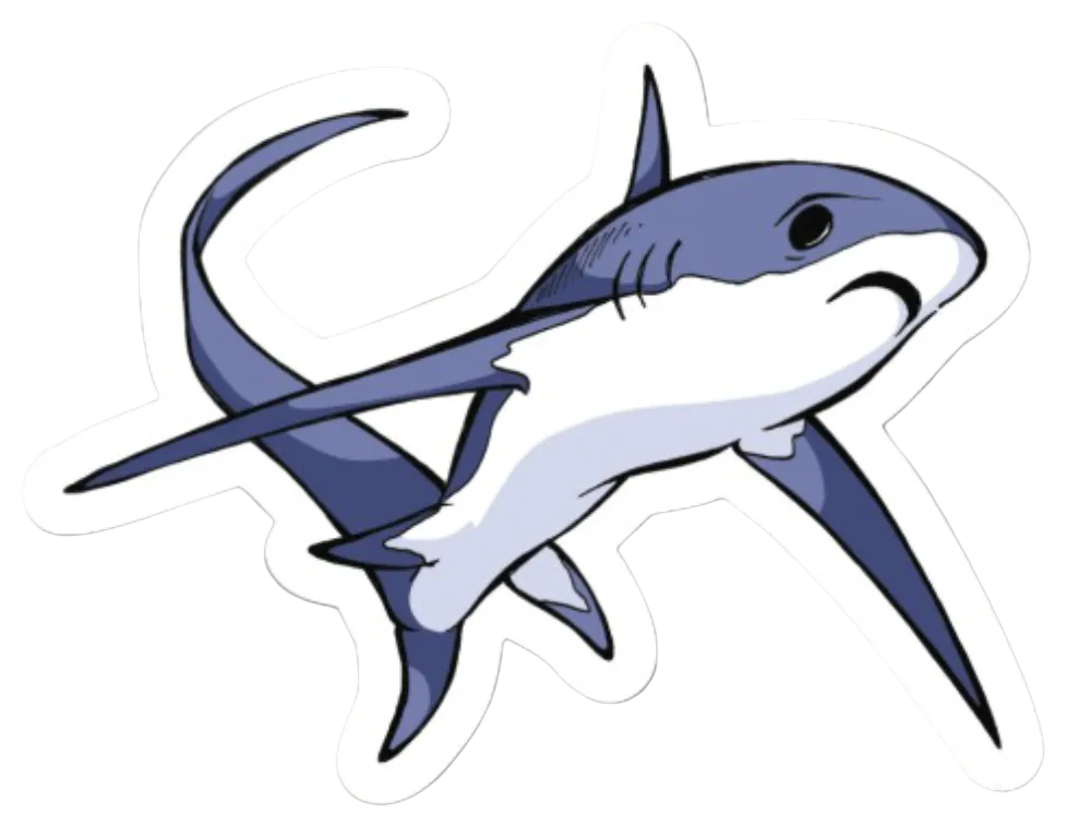Thresher Shark Sticker