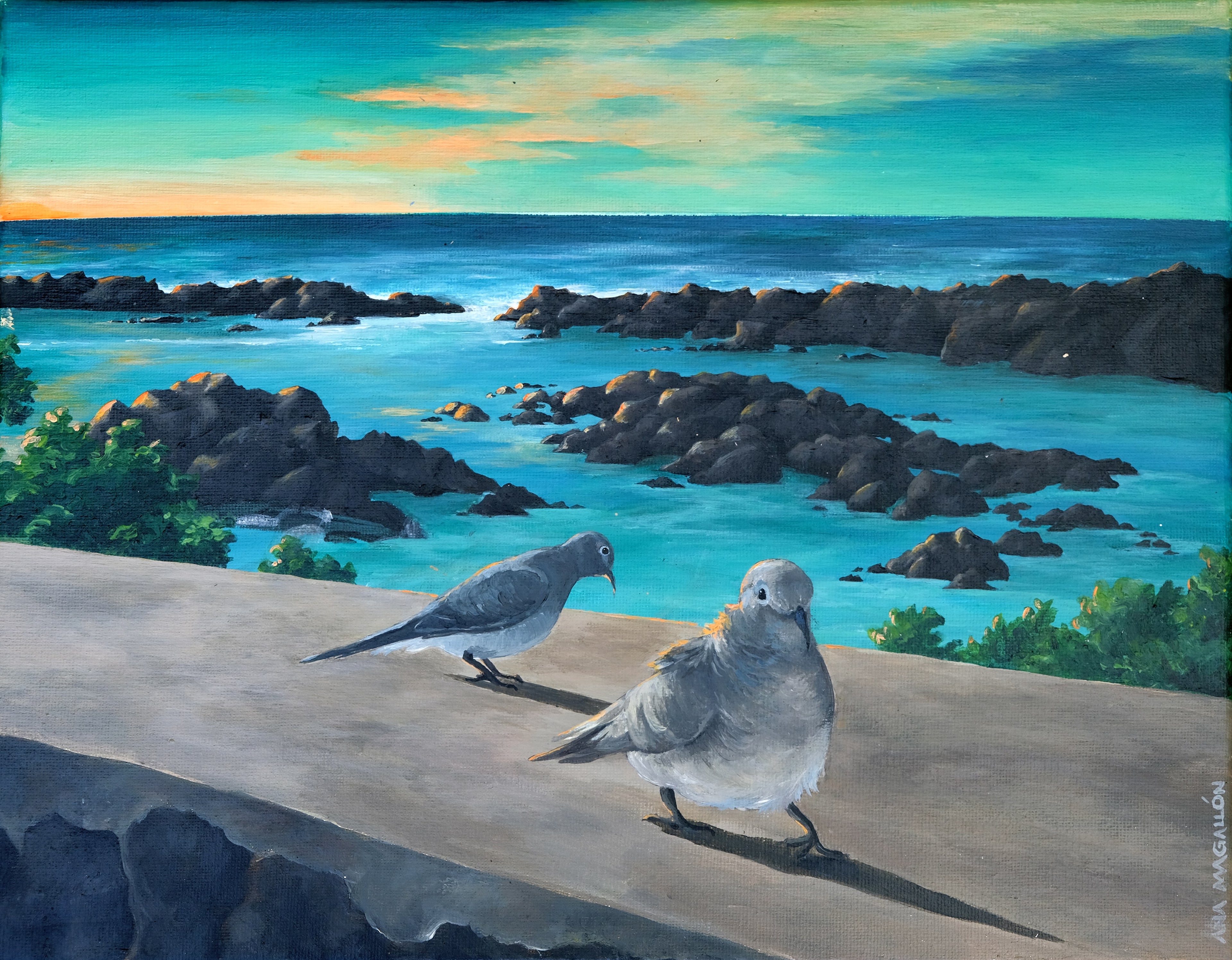 Shark's Cove Print